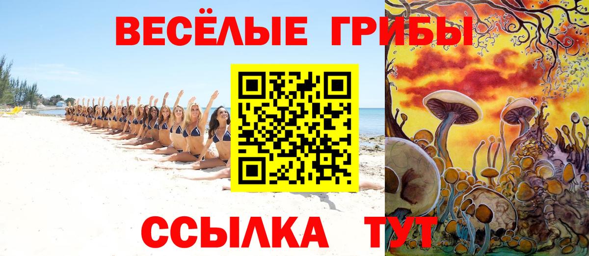Галлюциногенные грибы Psilocybine cubensis Александров